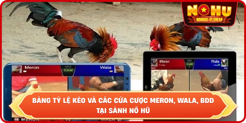 Bảng tỷ lệ kèo và các cửa cược Meron, Wala, BDD tại sảnh NỔ HŨ