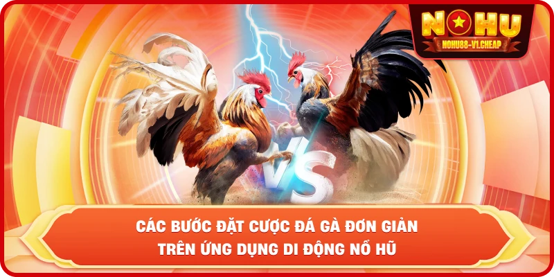 các bước đặt cược đá gà đơn giản trên ứng dụng di động NỔ HŨ