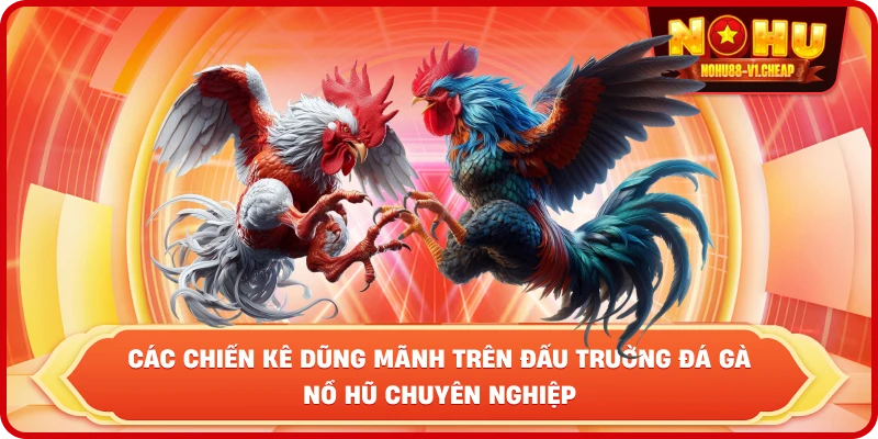 các chiến kê dũng mãnh trên đấu trường đá gà NỔ HŨ chuyên nghiệp