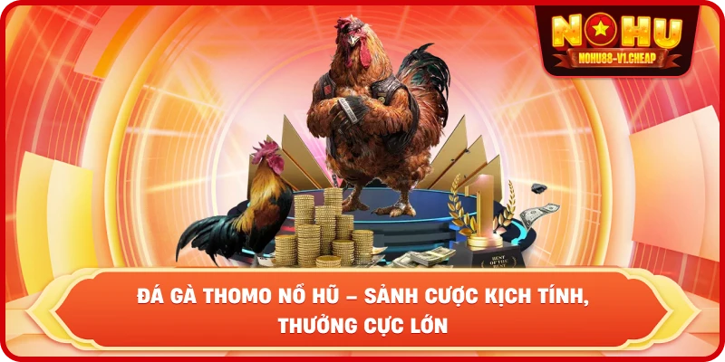 Đá gà thomo NỔ HŨ – Sảnh cược kịch tính, thưởng cực lớn