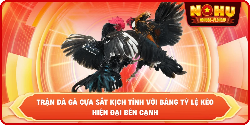 trận đá gà cựa sắt kịch tính với bảng tỷ lệ kèo hiện đại bên cạnh